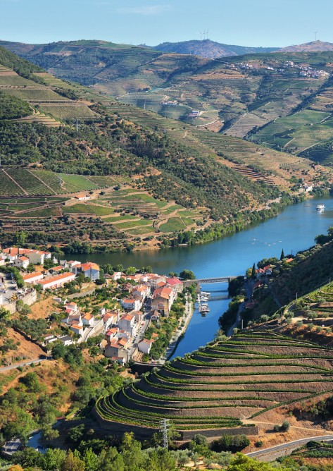 Tour no Douro - 1/2 Dia Manhã
