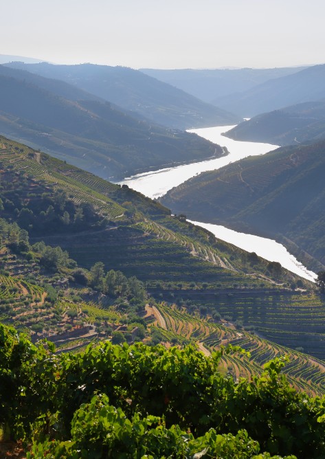 Tour no Douro - Dia Completo